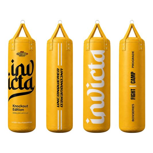 ProGrade Punching Bag - Invicta BOXSERIES (Hollow, No Fillings)