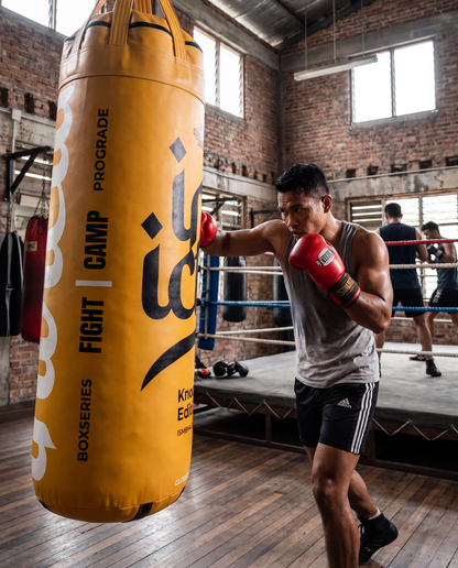 ProGrade Punching Bag - Invicta BOXSERIES