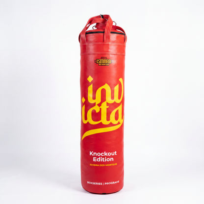 Home Training Punching Bag - Invicta